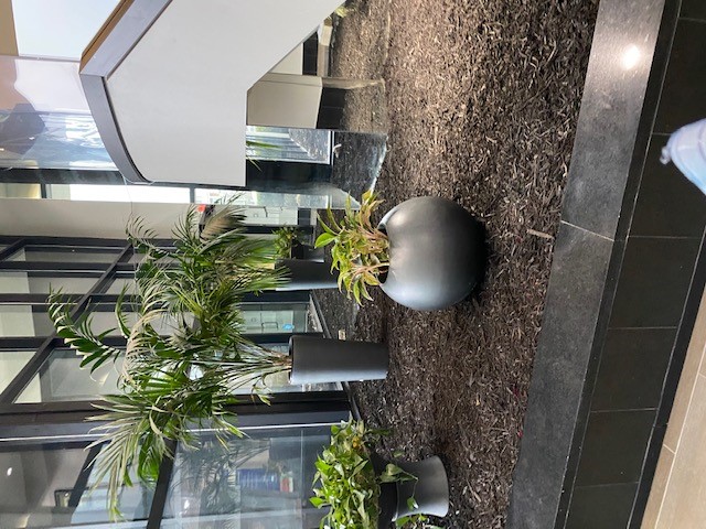 Potted plants in lobby