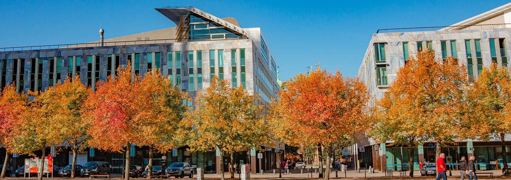 CRE & Property Management Company DRK & Company Realty