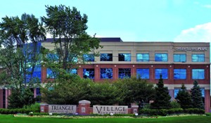 Image of Triangle Village building